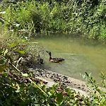 La Mare Aux Canards Apartman Vogelgrun
