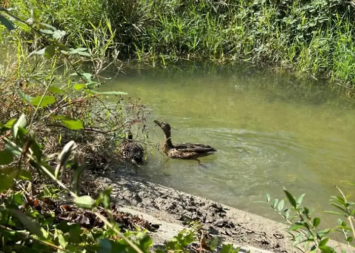 La Mare Aux Canards Apartment Vogelgrun